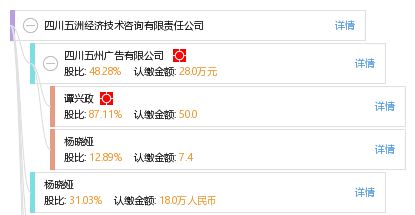 四川五洲經(jīng)濟技術(shù)咨詢有限責(zé)任公司 專業(yè)優(yōu)勢與技術(shù)咨詢服務(wù)